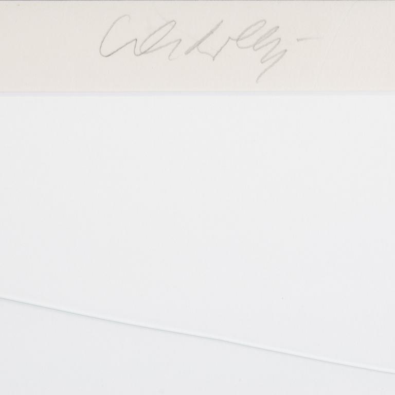 Victor Vasarely, färgserigrafi, signerad och numrerad III/XXX.