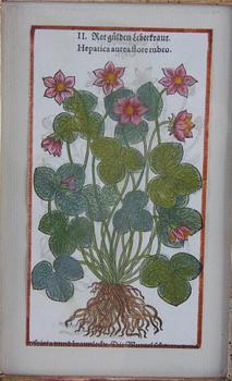 HANDKOLORERADE GRAVYRER, 2st, och KOPPARSTICK, 17/1800-tal.