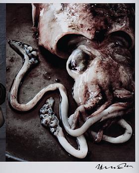 Bruno Ehrs, "From the series: Diptychs & Triptychs".