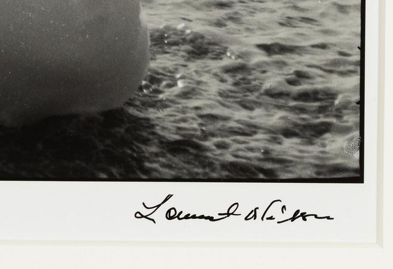 Lennart Nilsson,  "Isbjörnsjakt vid Hvitøya (Vitön), Svalbard, Norge 1947".