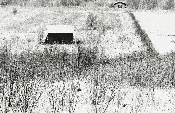 Sune Jonsson, "Igenväxande åker, Hössjö, Umeå, 21 oktober 1972".