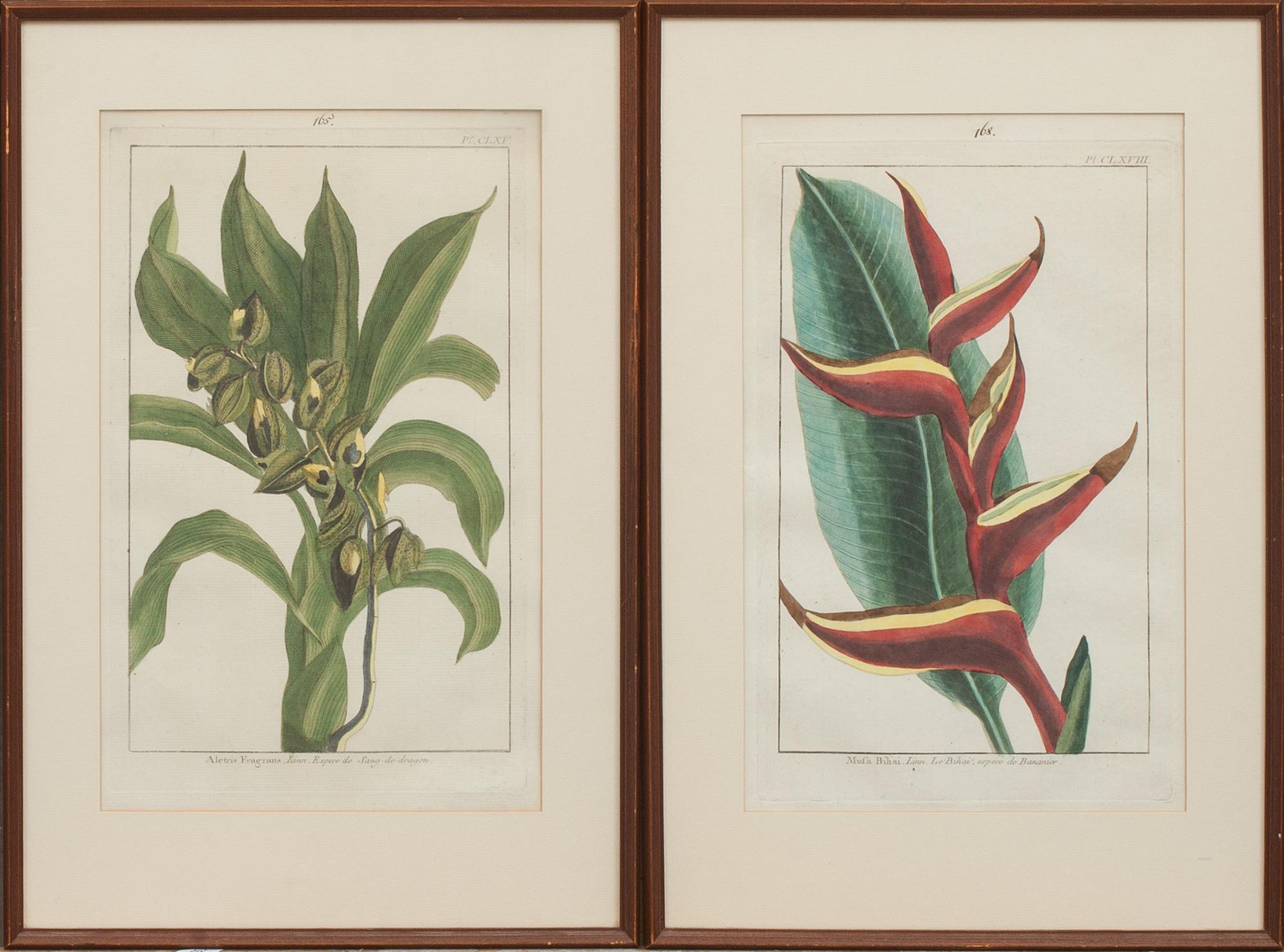 KOPPARSTICK, 2 st. "Le Jardin D'eden botanical". Omkring 1800.