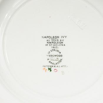48 pcs of 'Napoleon Ivy' service Wedgewood.