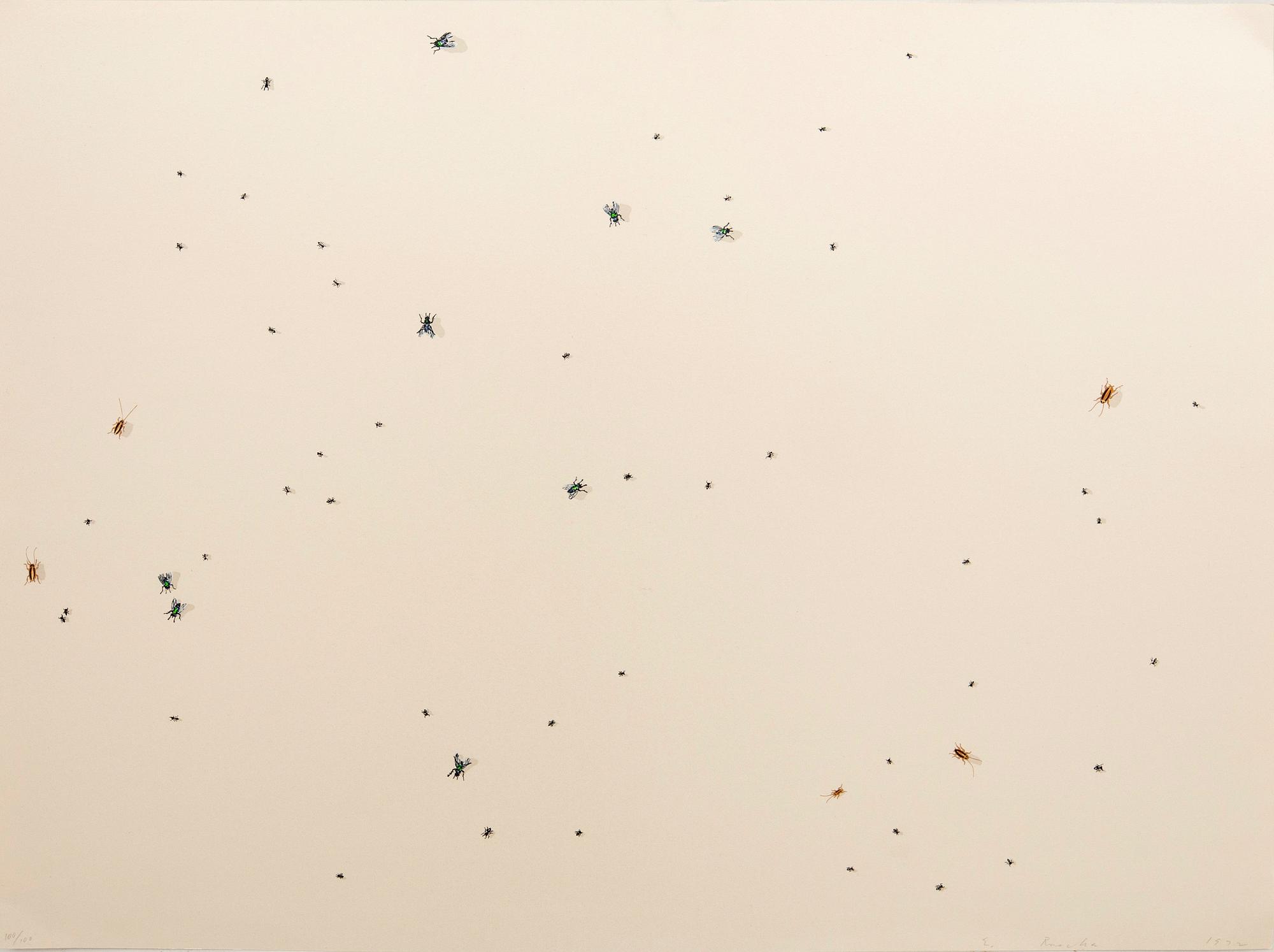 Ed Ruscha, "Pearl Dust Combination" from the series "Insects".