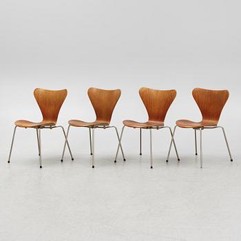 Arne Jacobsen, stolar, 4 st, "Sjuan" Fritz Hansen, Danmark, 1950/60-tal.