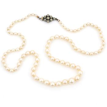 COLLIER, odlade saltvattenspärlor, lås i silver.