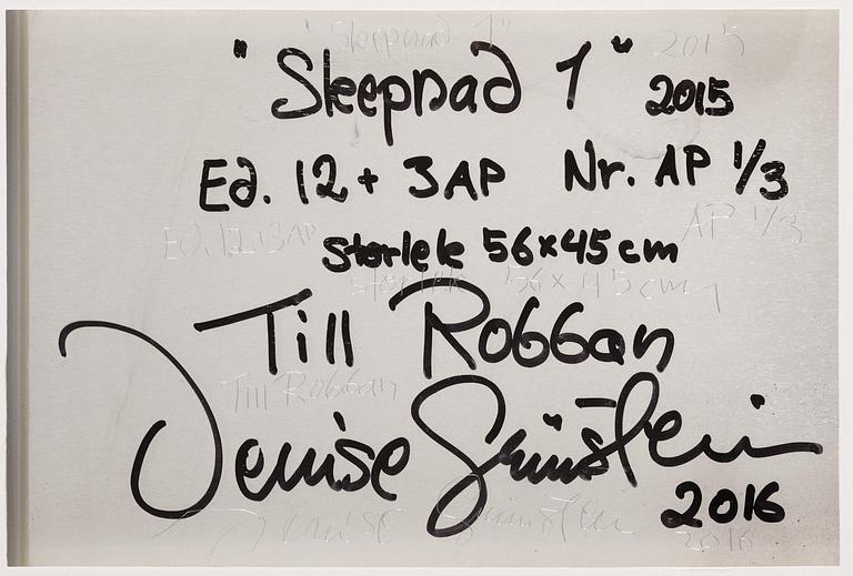 Denise Grünstein, "Skepnad", 2015.