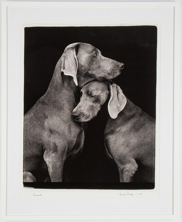 William Wegman, fotografi, signerad och daterad 2009.