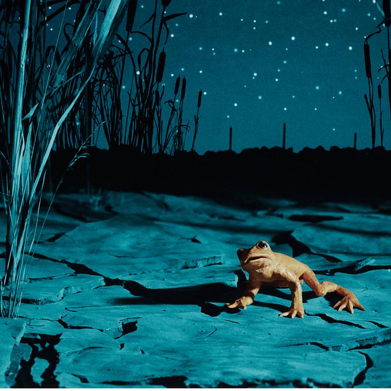 Helena Blomqvist, "Last Night for the Last Golden Frog", 2008.