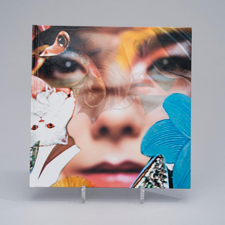 BOK, Visionaire 36 Power. 2001.