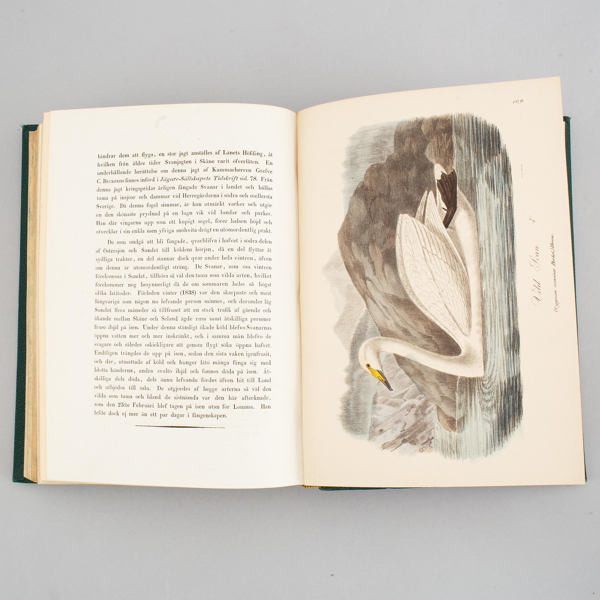 With 200 lithographed zoological plates, 1832-40 (2 vol).