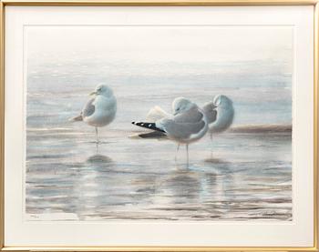 Lars Jonsson, lithograph signed and numbered 205/310.