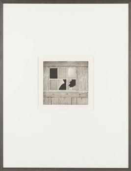Elina Luukanen, 'Cabin window'.