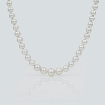 NECKLACE, a string with 39 cultivated white pearls with a 18K pink gold clasp with diamonds.