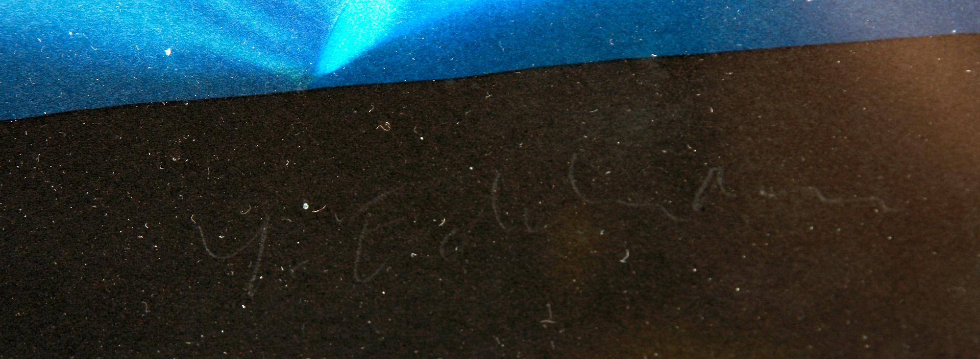 YRJÖ EDELMAN, färglitografi, sign o numr 32/199.