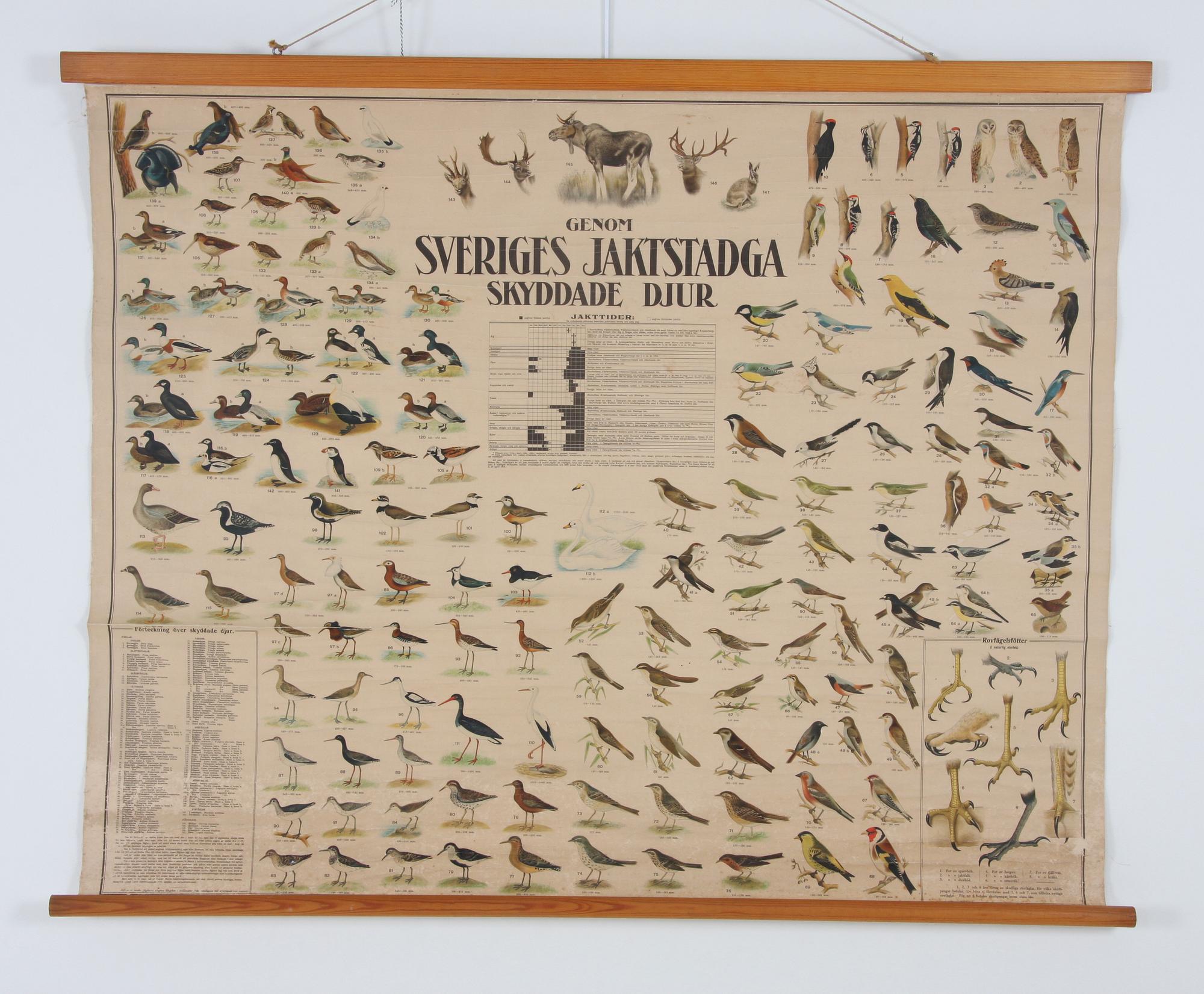 SKOLPLANSCH, tryckt 1915.