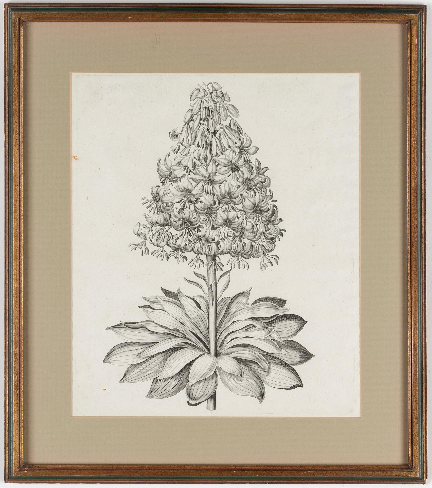 KOPPARSTICK, 2,  16/1700-tal. 
Den ena troligen av Wolfgang Kilian (1581-1662).