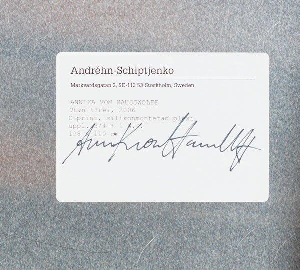 Annika Elisabeth von Hausswolff, "Utan titel", 2006.
