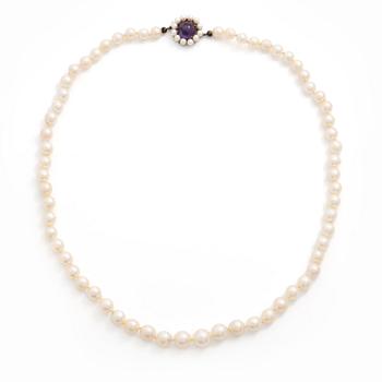 Necklace with graduated cultured pearls, silver clasp with a cabochon-cut amethyst.