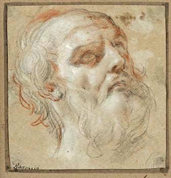 399. Federico Barocci (Fiori da Urbino) Hans efterföljd, Studie av manshuvud.