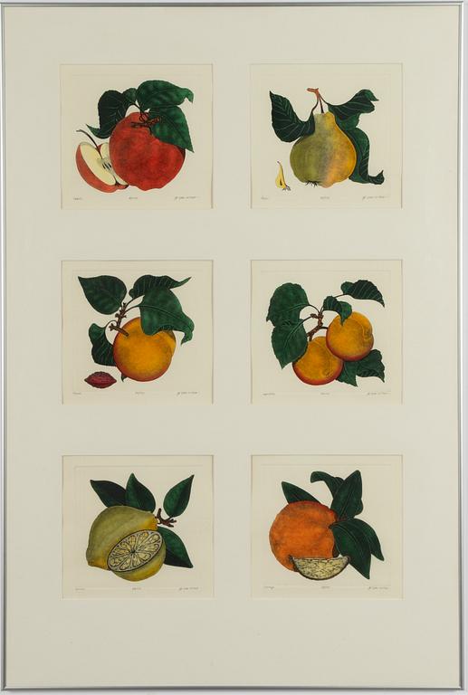 Dan Mitra, a suite of six etchings, framed together.
