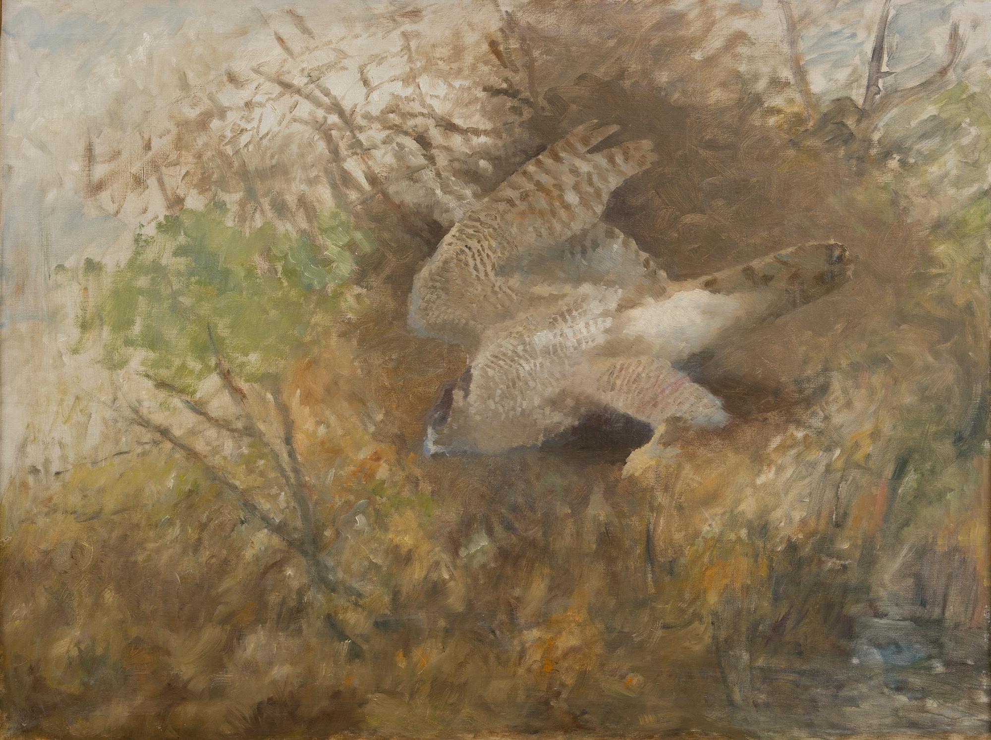BIRD OF PREY.