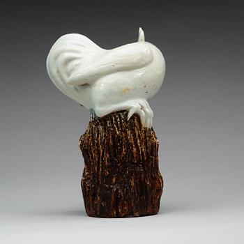 A white glazed figure of a rooster, Qing dynasty (1644-1912).