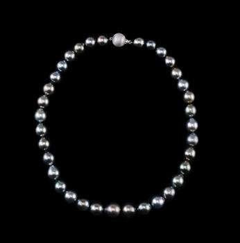 576. A NECKLACE, tahitian pearls 10 - 13 mm. Clasp in 14K white gold. Length 45 cm.