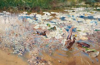 Bruno Liljefors, "Änder" / "Wild Ducks".