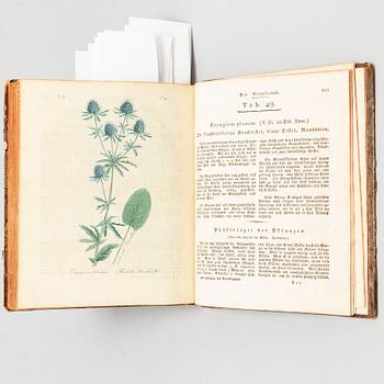 BOOK, with hand coloured dry needle engravings.