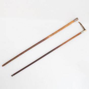 Cane, 2 pcs, von Rosen, 1895-1901.