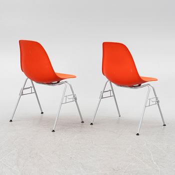 Charles & Ray Eames, six 'DSS' chairs, Vitra.