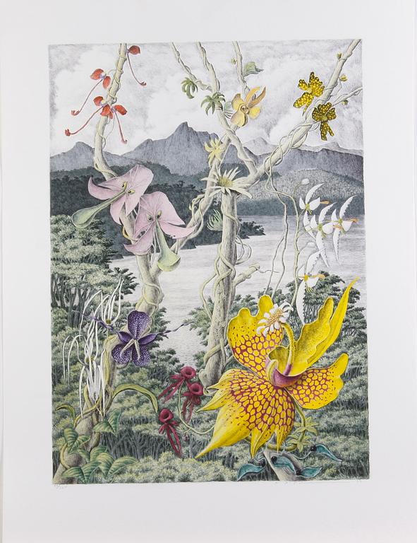 PEHRSON, KARL AXEL, färglitografi, sign. o numr. 88/385.