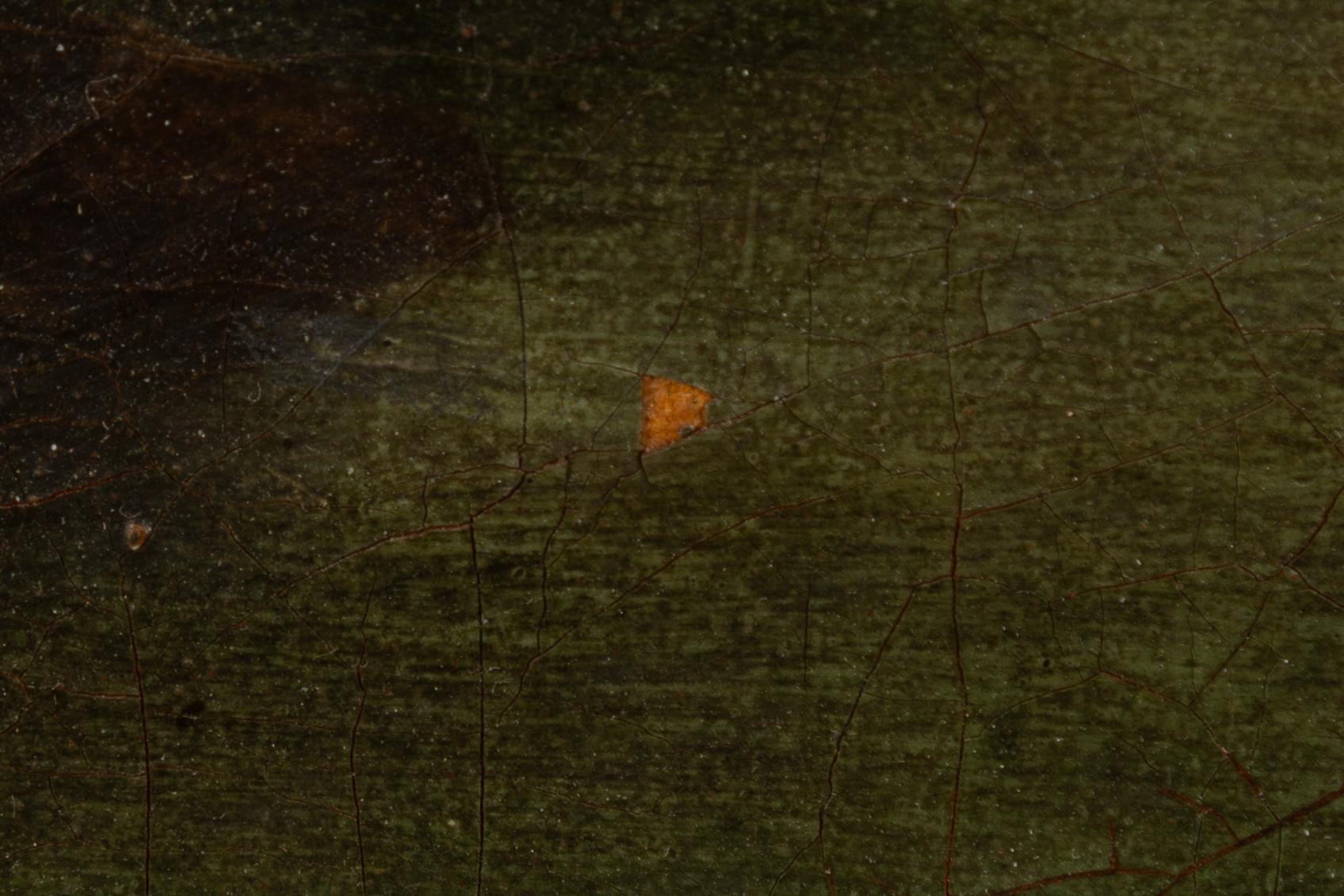 Anthoine Jansz van der Croos, his successor, Expansive landscapes.