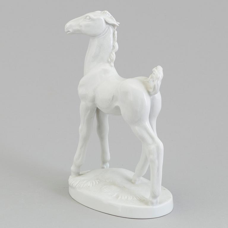 A white glazed Meissen figure of a foal, Germany 1955.