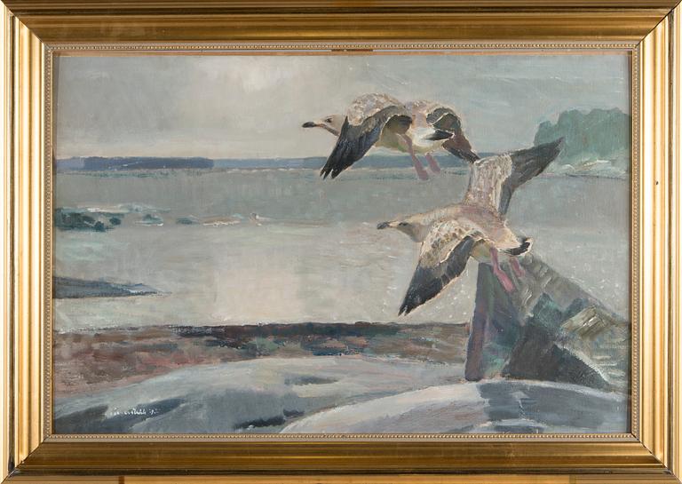 Lennart Segerstråle, Grey gulls.