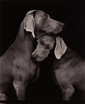 William Wegman, "Friends".