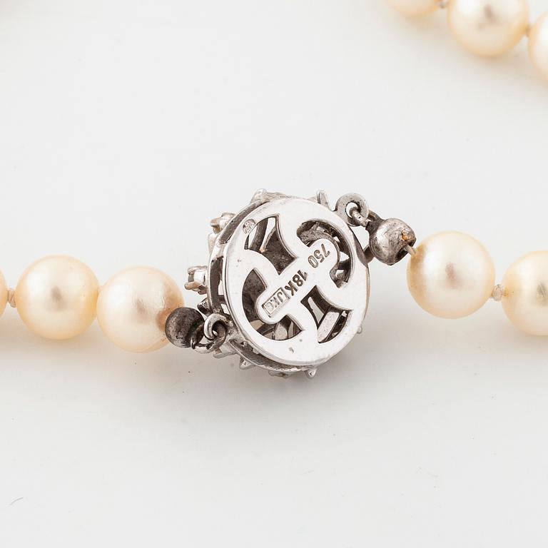 COLLIER, med odlade pärlor.