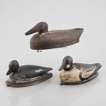 A set of three decoy ducks, first half of the 20th Century.