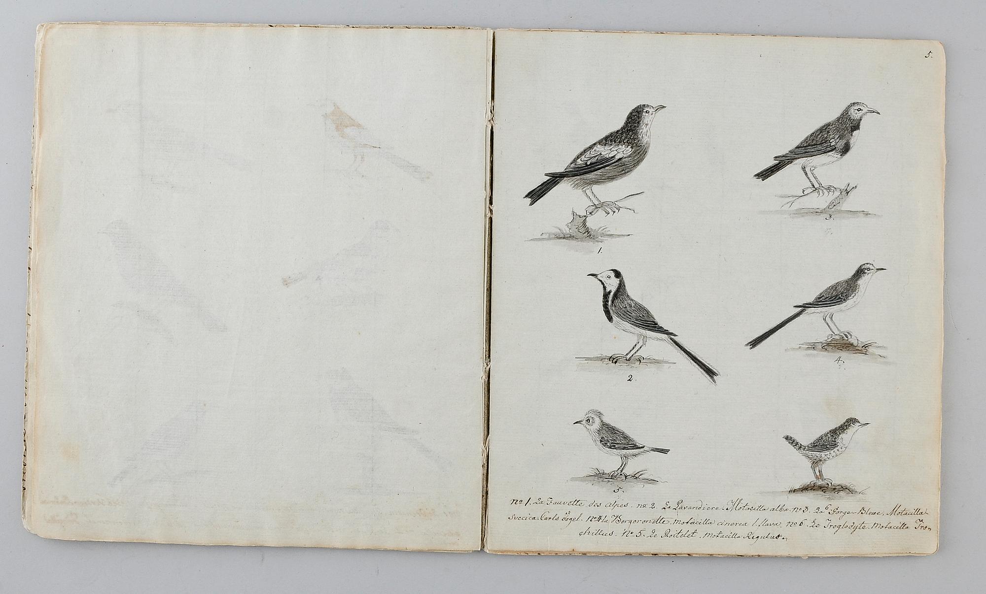 HÄFTE, 1800-tal, teckningar.