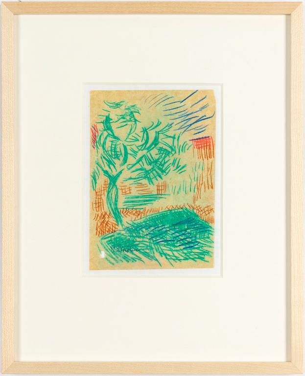 Inge Schiöler, Trädgård.