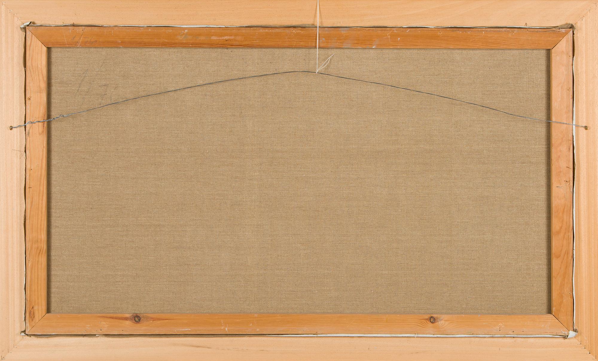 Aares Salli, Vinterlandskap.