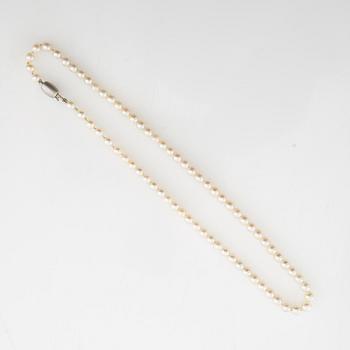Halsband av odlade pärlor med lås av 14K vitguld.