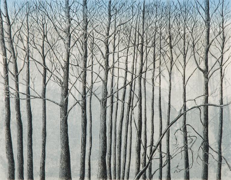 INARI KROHN, etching, signed and dated 2000, numbered Tait. vedos 4/10.