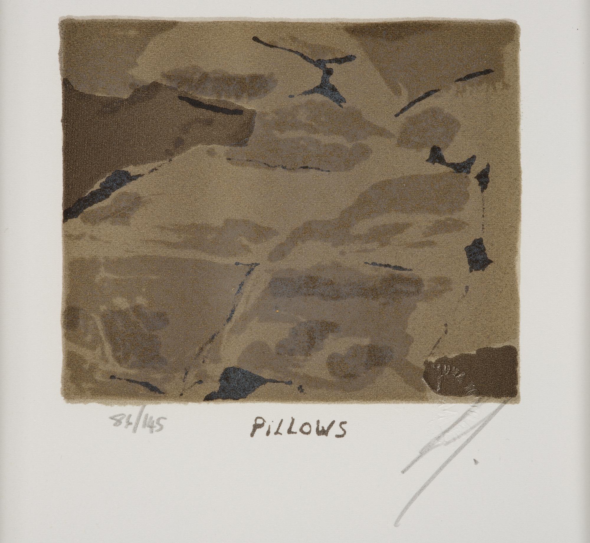 Luc Tuymans, "Superstition" och "Pillows".