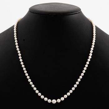 A necklace of cultured pearls clasp with old-cut diamonds.