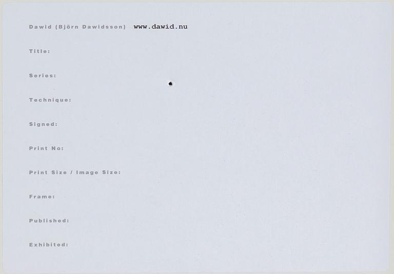 DAWID, pigment print. Signerad och numrerad 2/5. Daterad -09.