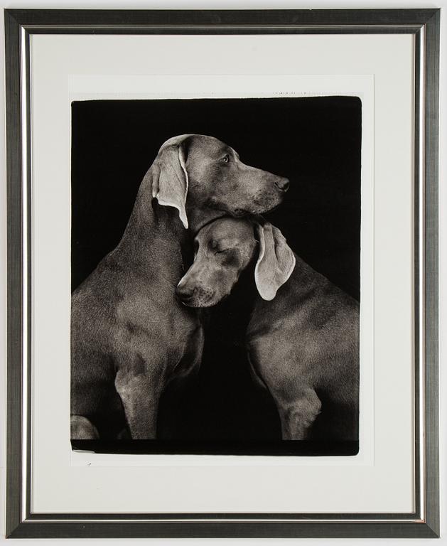William Wegman, photo, 2009, signed 929/1500.
