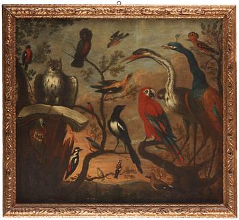 254. Melchior de Hondecoeter Follower of, Bird concert.