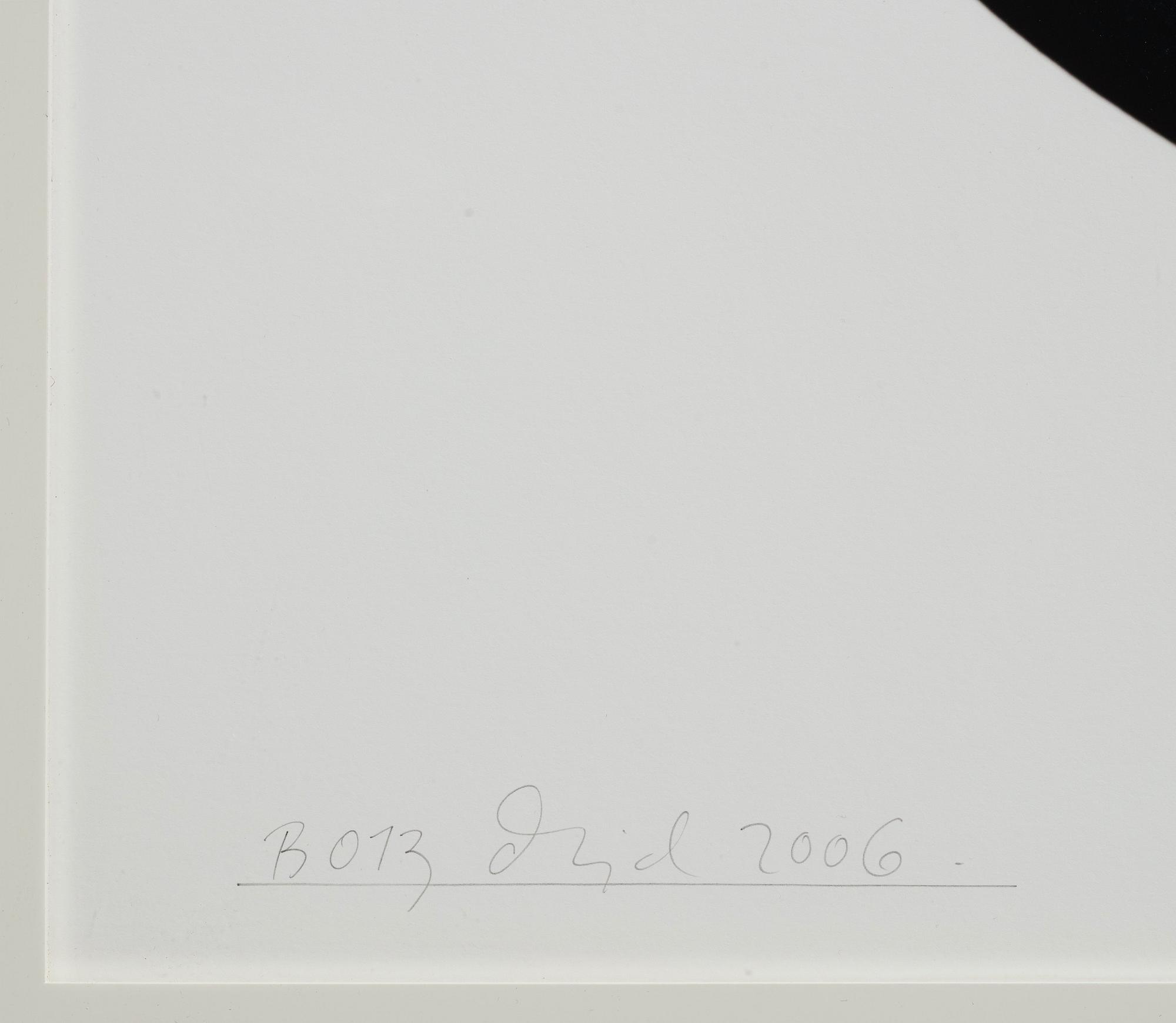 Dawid (Björn Dawidsson), "B013 ur serien Merit", 2006.